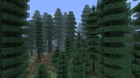 Coniferous Forest.png